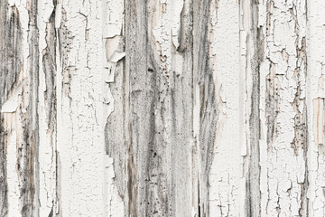 Grungy white wooden wall with rough texture