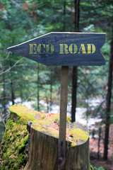 eco road sign in forest, wooden sign 