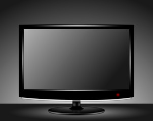 Vector LCD computer monitor