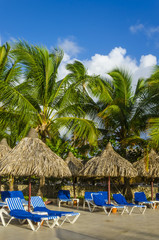 Exotic vacation by the hotel pool. Caribbean , Dominicana - obrazy, fototapety, plakaty