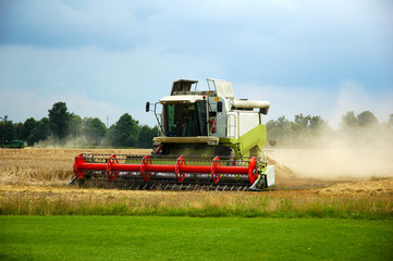 Combine harvester at work harvesting a field of wheat.
