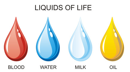 Liquids of Life