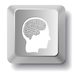 Human brain. Vector computer key.