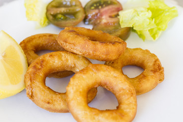 Fried Breaded Calamari with salad