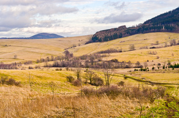 Landscape with autumnal meadows and hills