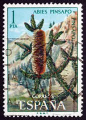 Postage stamp Spain 1972 Spanish Fir, Evergreen Tree