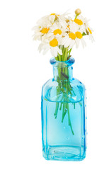 Obraz premium daisy flowers posy in blue glass