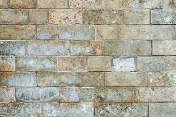 Grunge colorful brick wall background photo texture