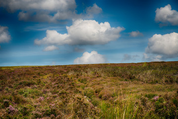 North Yorkshire Moors