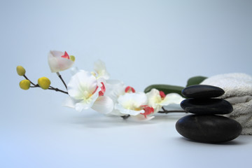 Obraz na płótnie Canvas Biała orchidea i kamienie.