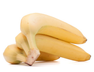 Bananas bunch isolated on white background cutout