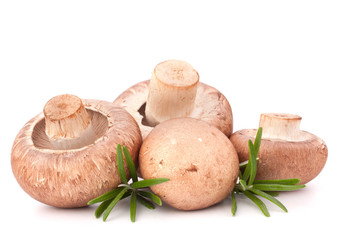 Brown champignon mushroom and rosemary leaves