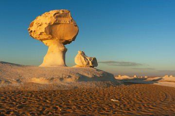 Fototapeta na wymiar Unusual rock formations in White desert, Farafra, Egypt