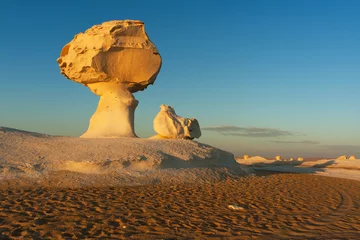 Foto op Plexiglas Unusual rock formations in White desert, Farafra, Egypt © sunsinger