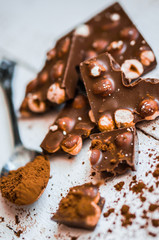 Closeup of Cocoa Powder and Dark Chocolate