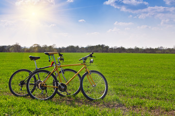 Fototapeta na wymiar two bikes in a field