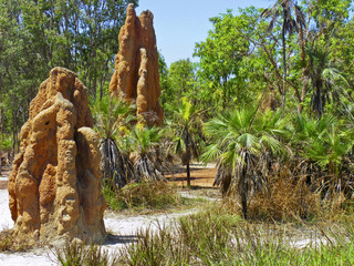 Termite Mounds © dr322