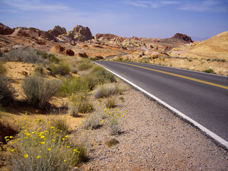 Twisting desert road