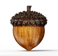 acorn © Oleksandr Moroz