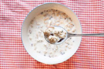 Muesli mit Milch