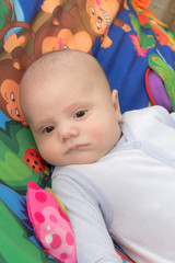 baby on a colored background