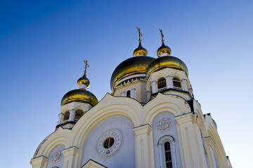 Orthodox church