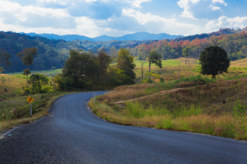 raod to country side in North of Thailand