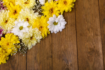 Beautiful chrysanthemum flowers on wooden background