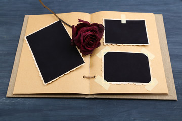Blank old photos in album and dried flower,