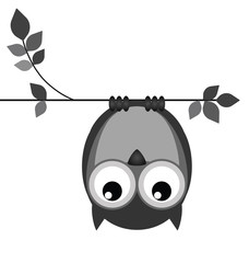 Fototapeta premium Upside down owl on a branch