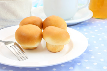 Some buns white plate on morning table.