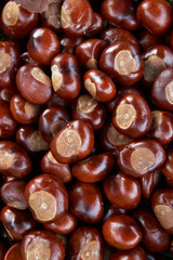 Full Frame Shot Of Conkers