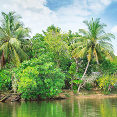 Obraz premium Tropical river with palm trees on shores
