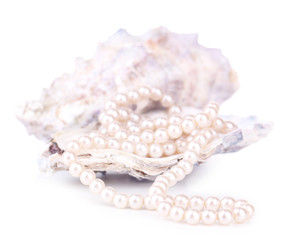 Shell with pearls, isolated on white