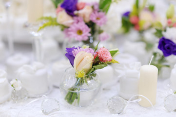 Beautiful pink roses in small vases