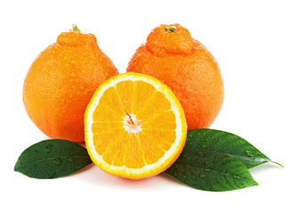 Orange fruits with green leaves isolated on white background.