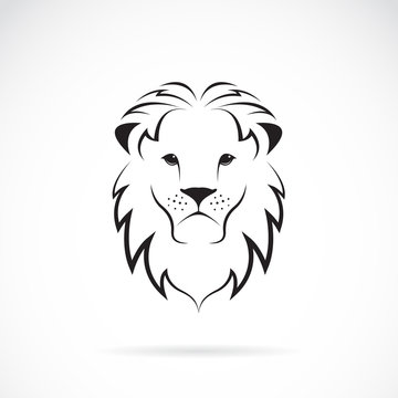 Vector image of an lion head
