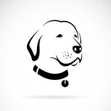 Vector of a labrador dog's head on white background. Pets. Animals.