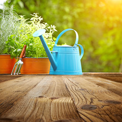 Outdoor gardening tools  on old wood table