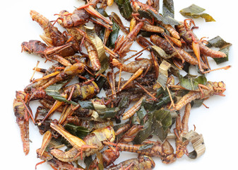 Fried grasshoppers.