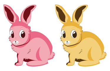 Fototapeta na wymiar Pink and yellow rabbits
