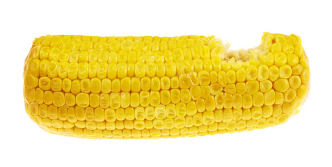 Cornstick corn on the cob isolated