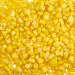 Surface covered with corn kernels