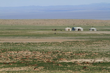 Steppenlandschaft in der Mongolei