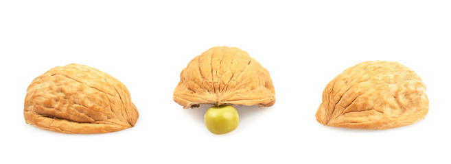 Pea under one of three walnut shells
