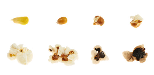 Roasting corn kernel into a popcorn isolated © exopixel