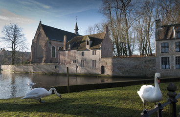 Obraz premium bruges