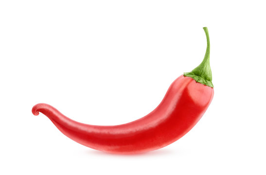 Isolated pepper. One red chili pepper isolated on white background