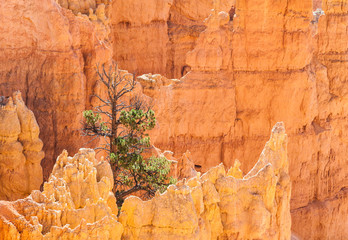 Bryce Canyon