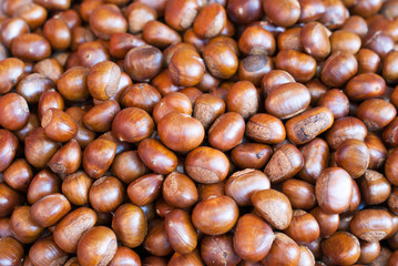 Chestnut close up shoot,background